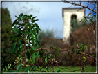 foto Colline Marosticane in Autunno